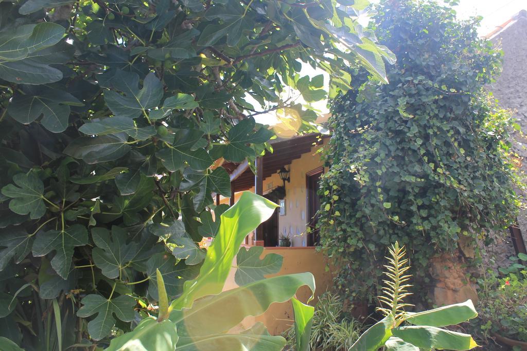 Casa Rural Las Rosas Agulo Værelse billede