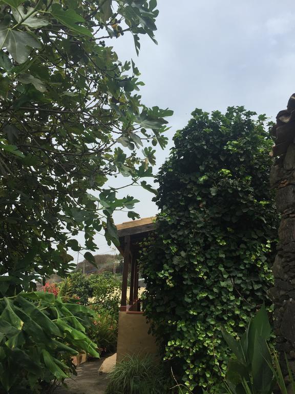 Casa Rural Las Rosas Agulo Eksteriør billede