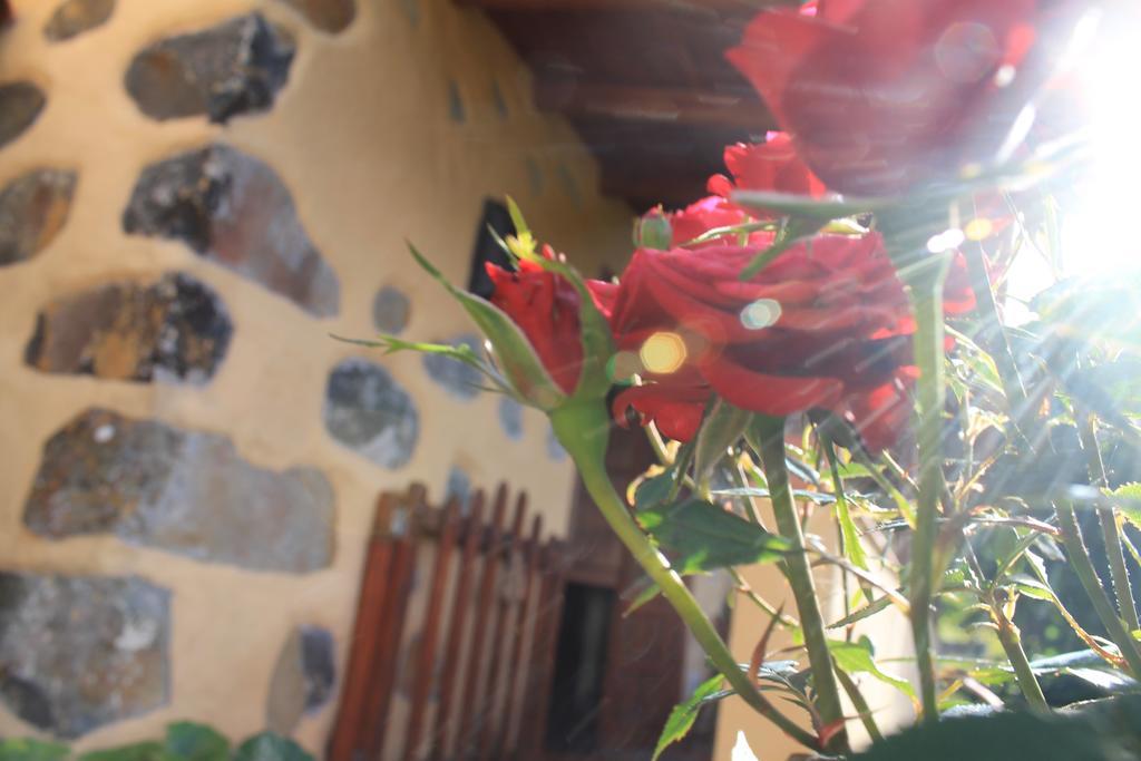 Casa Rural Las Rosas Agulo Eksteriør billede